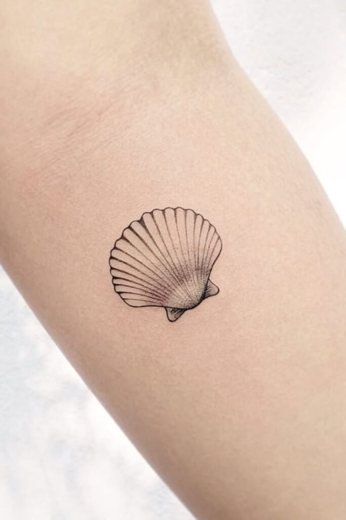 fine line shell tattoo